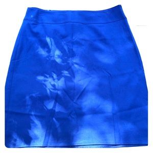 Talbots Skirt